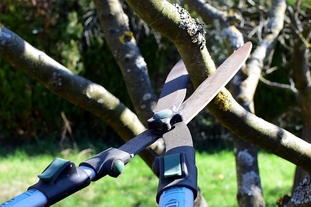 Waarom een accu takkenschaar de beste investering voor je tuin is